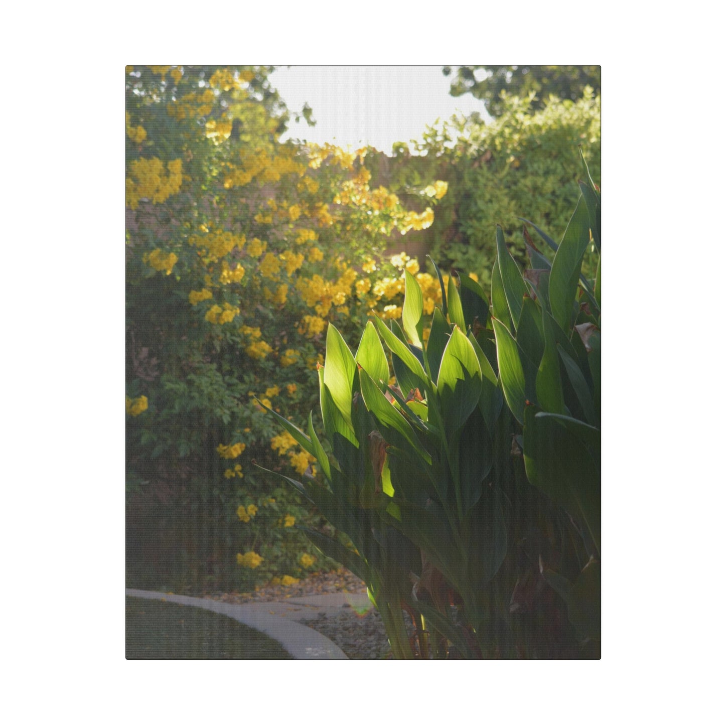 Parker Residence [Matte Canvas, Stretched, 0.75"]