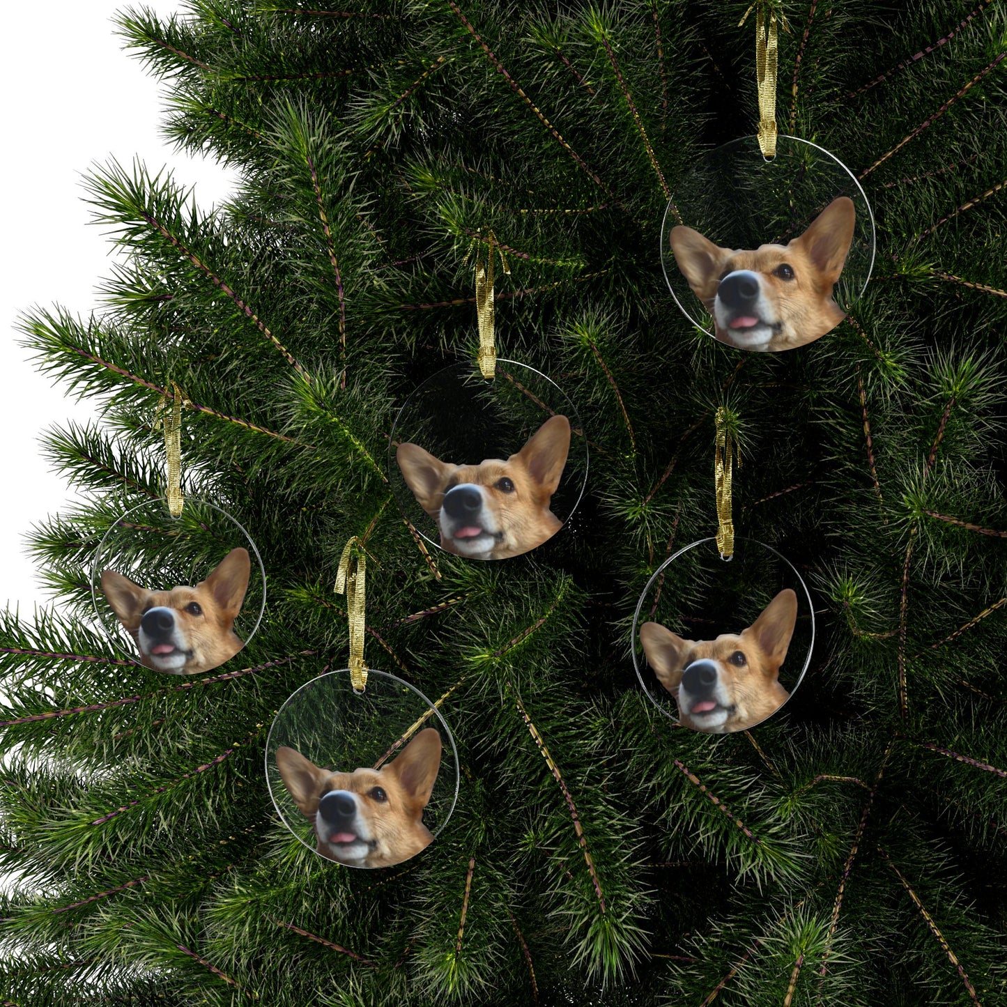 Waffle [Acrylic Ornaments]