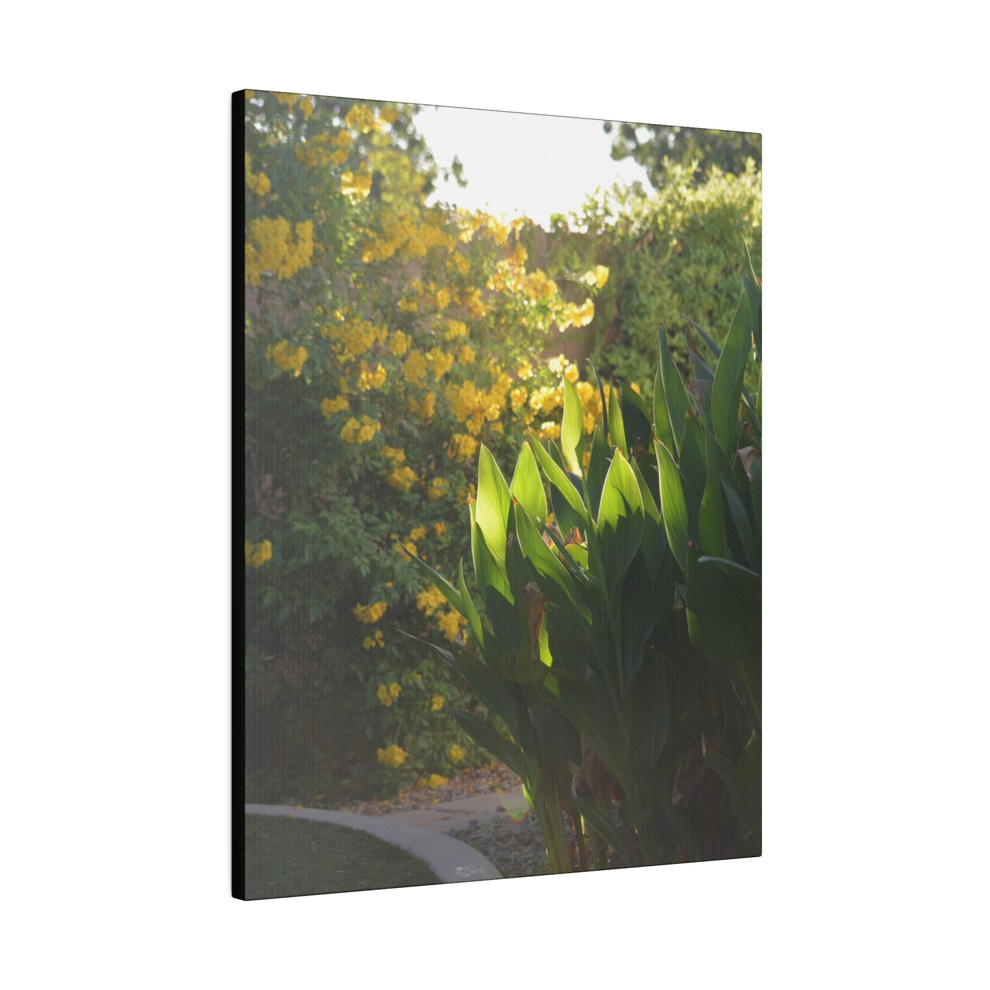 Parker Residence [Matte Canvas, Stretched, 0.75"]