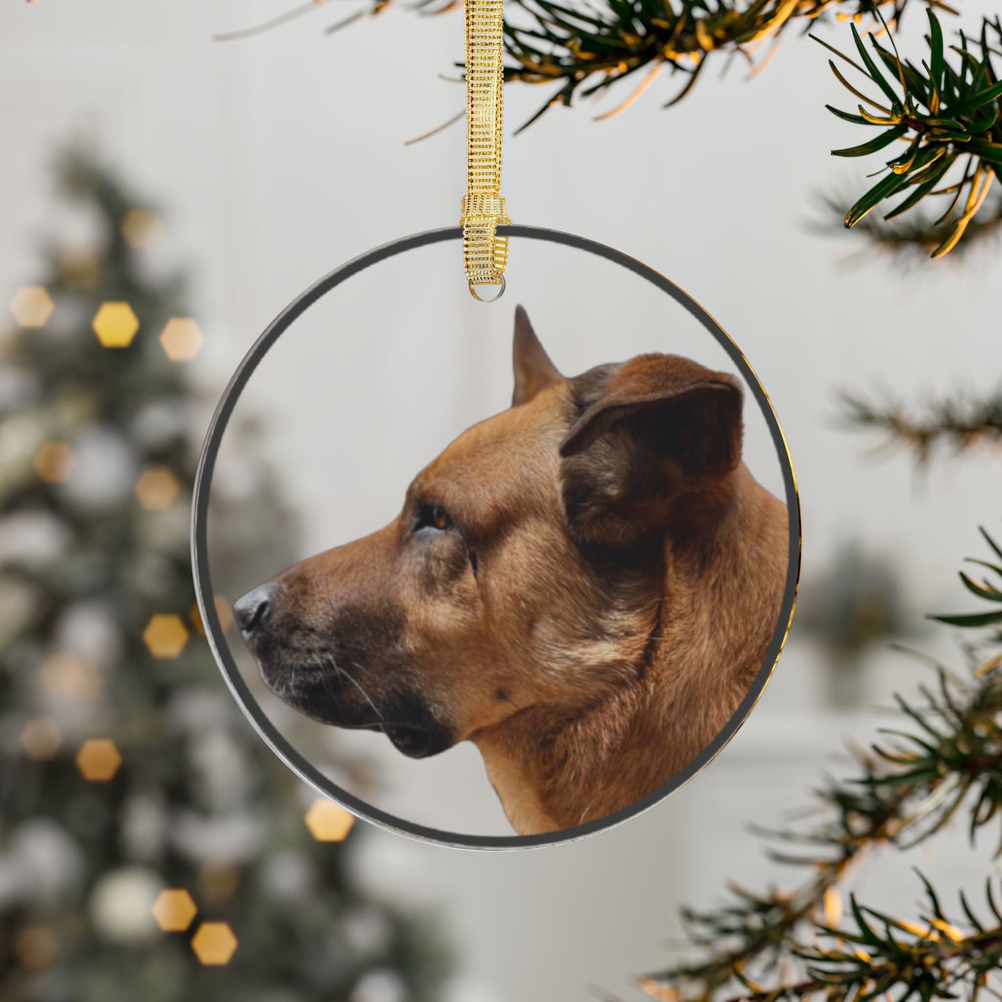 Sherlock [Acrylic Ornaments]