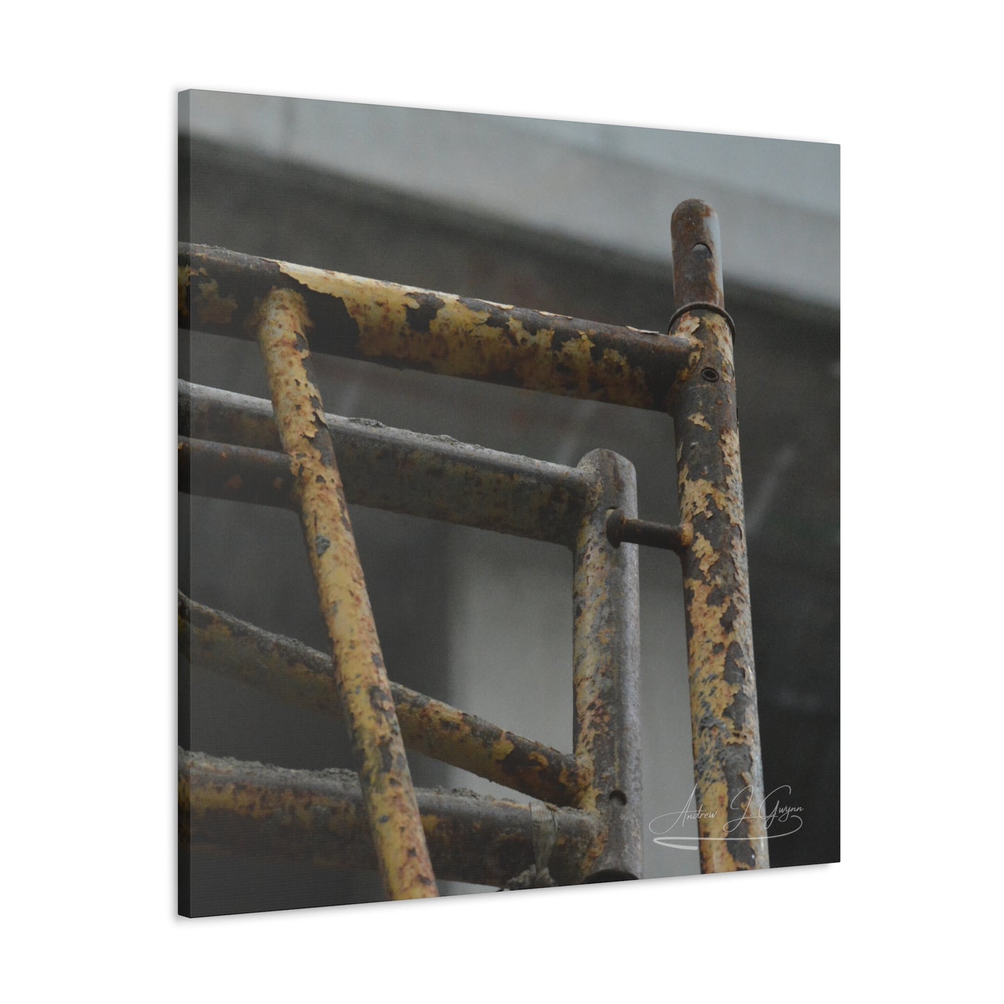 Trust Me [Canvas Gallery Wraps]