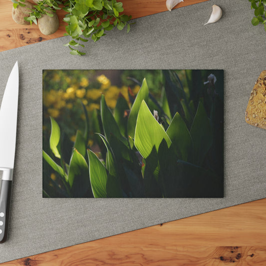 Parker Backyard [Glass Cutting Board]