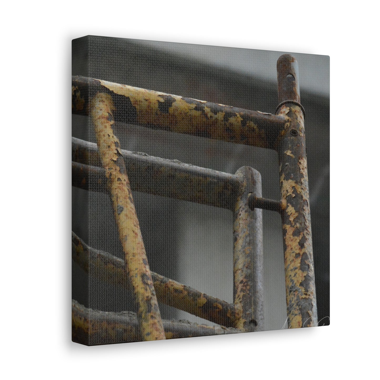 Trust Me [Canvas Gallery Wraps]