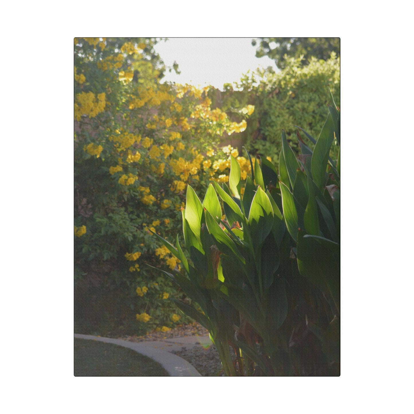 Parker Residence [Matte Canvas, Stretched, 0.75"]