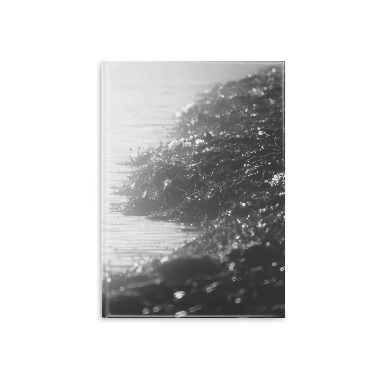 WRATH OF THE GODS [Hardcover Notebook with Puffy Covers]