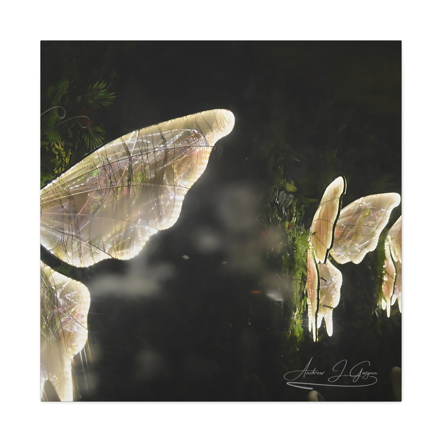 Nightwings [Canvas Gallery Wraps]