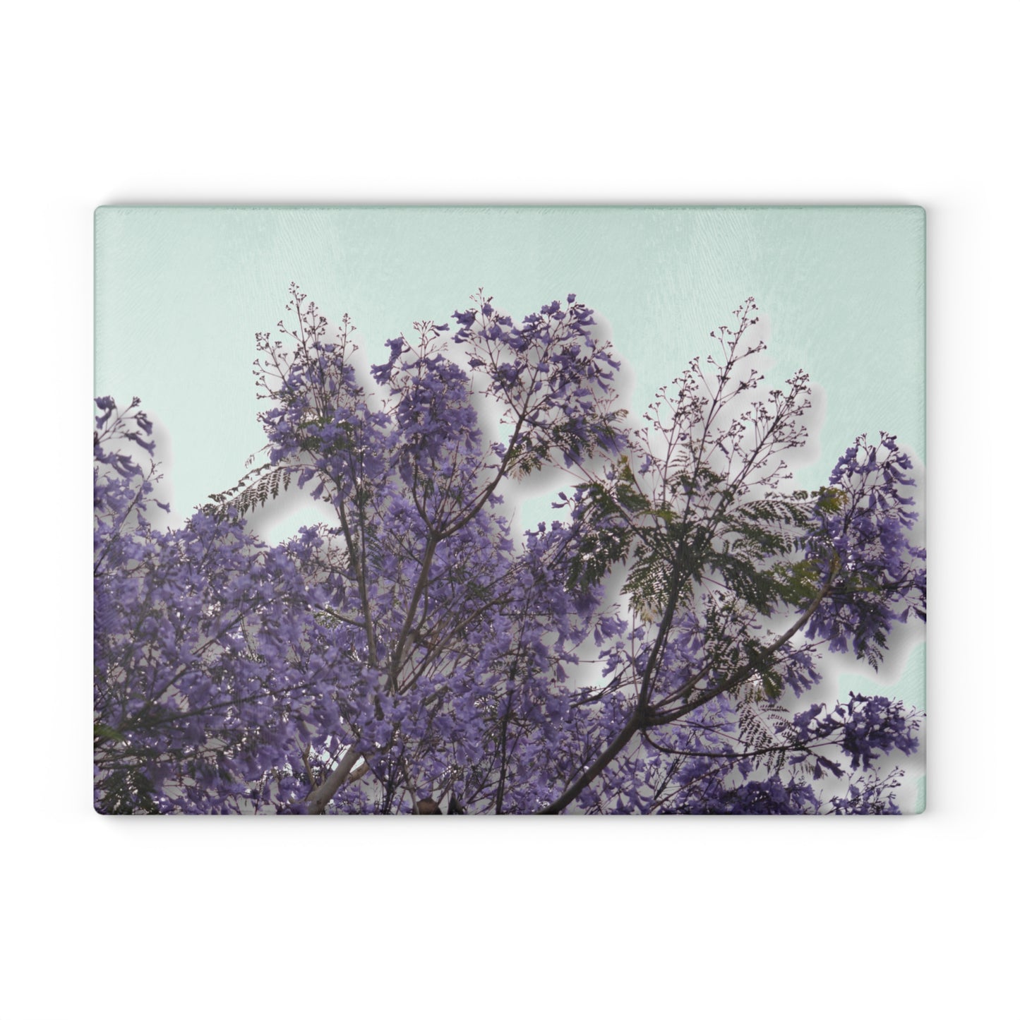 Jacarandas [Glass Cutting Board]