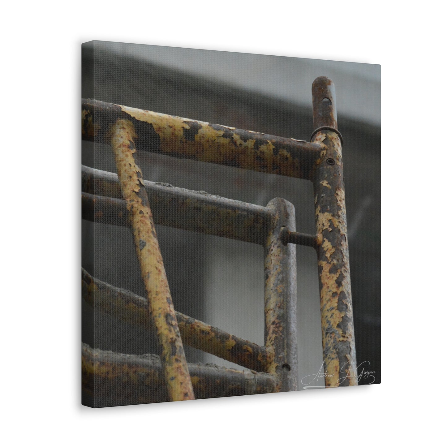 Trust Me [Canvas Gallery Wraps]