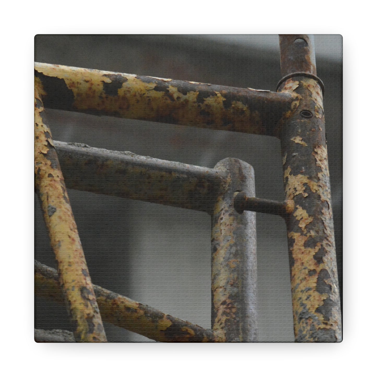 Trust Me [Canvas Gallery Wraps]