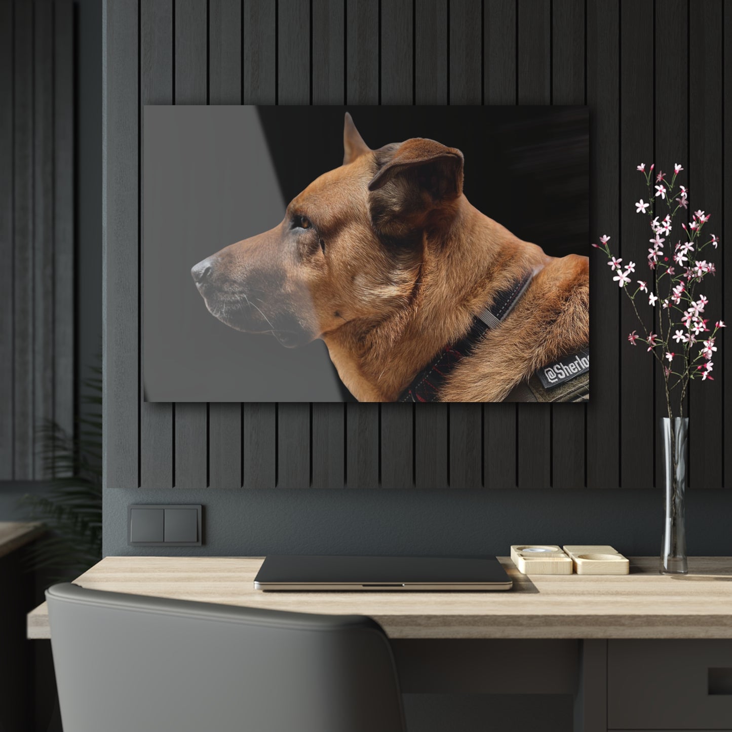 Sherlock [Acrylic Prints]