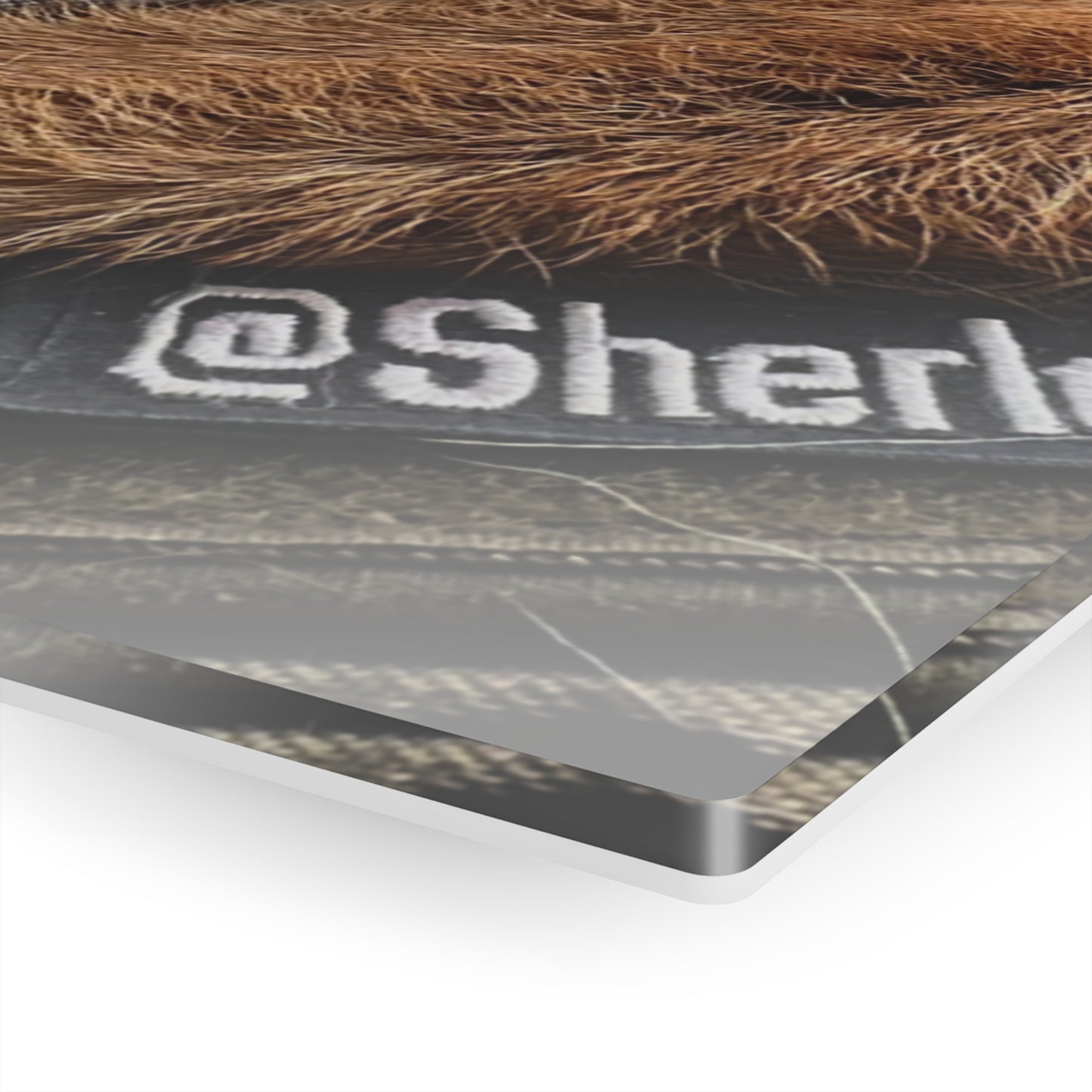 Sherlock [Acrylic Prints]