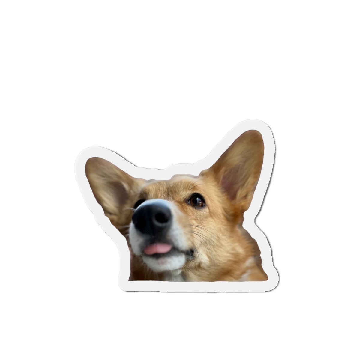 Waffle [Die-Cut Magnets]