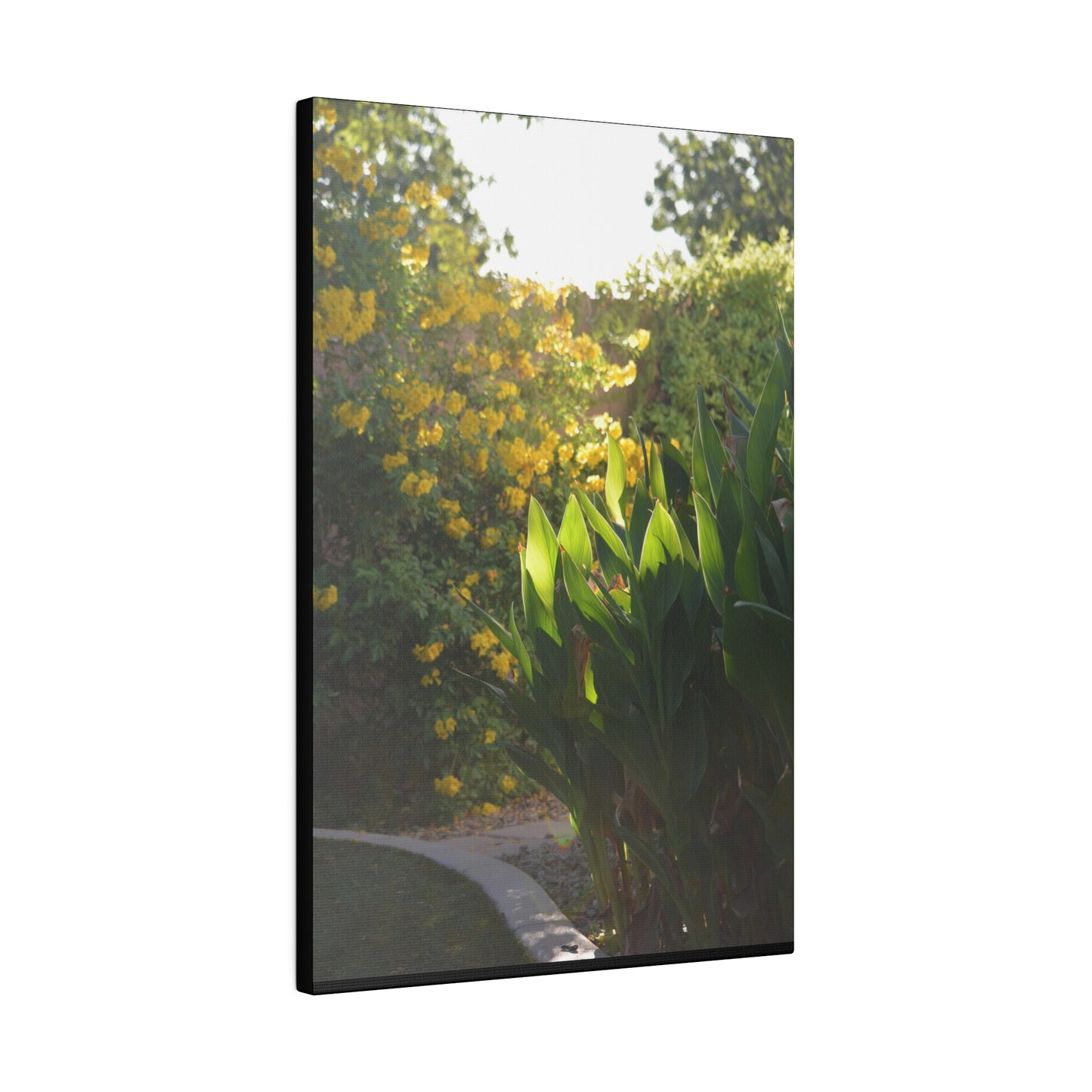 Parker Residence [Matte Canvas, Stretched, 0.75"]