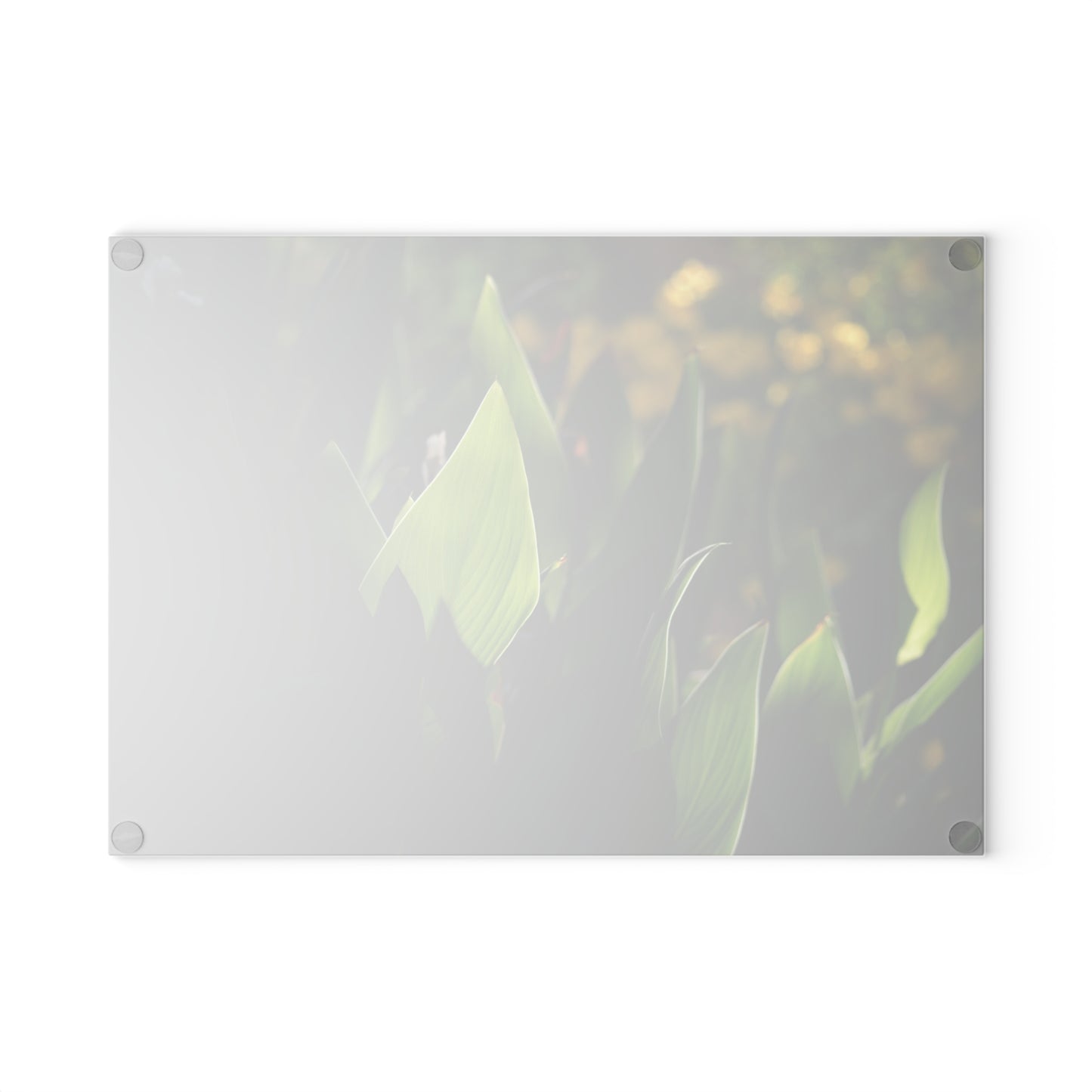 Parker Backyard [Glass Cutting Board]