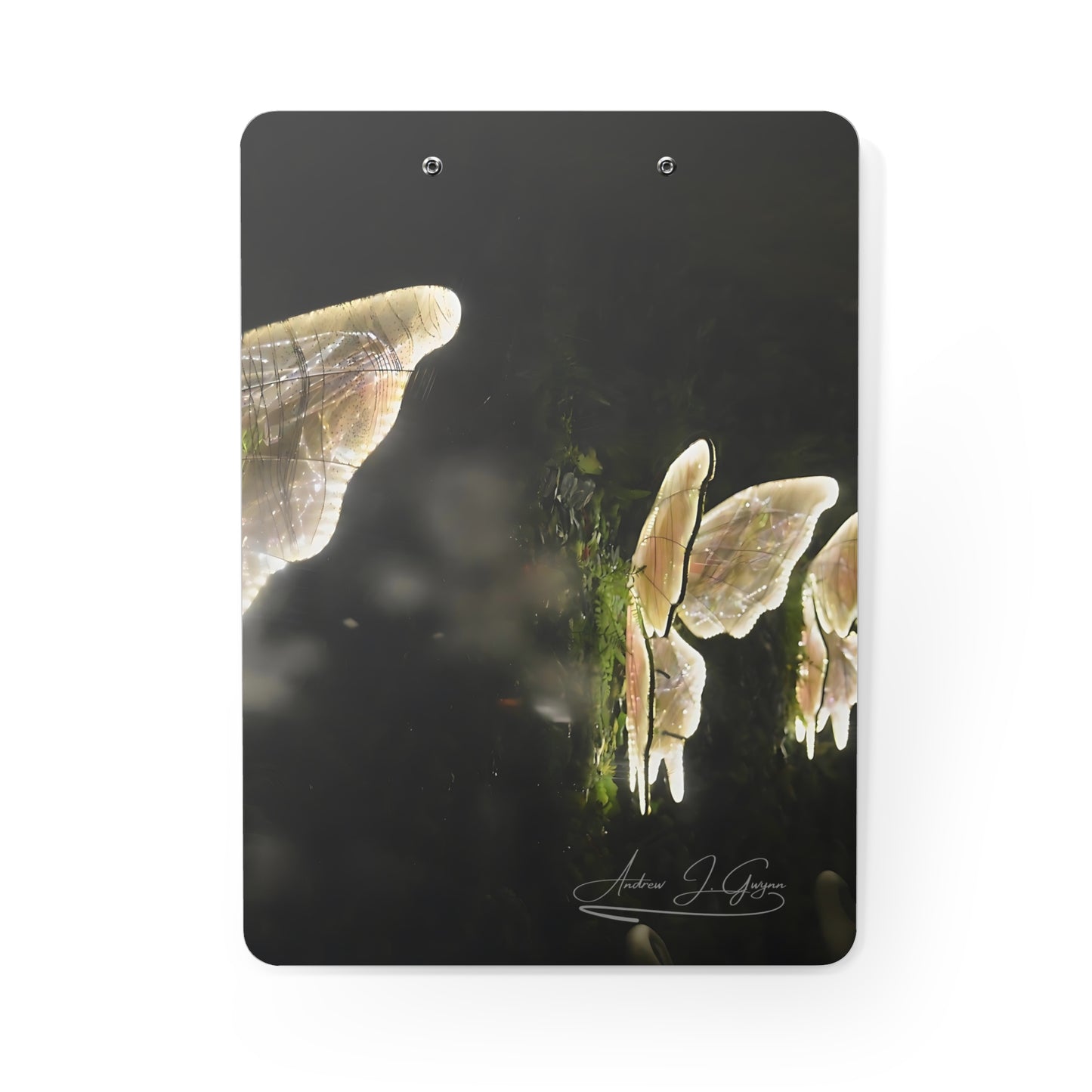 Nightwings [Clipboard]