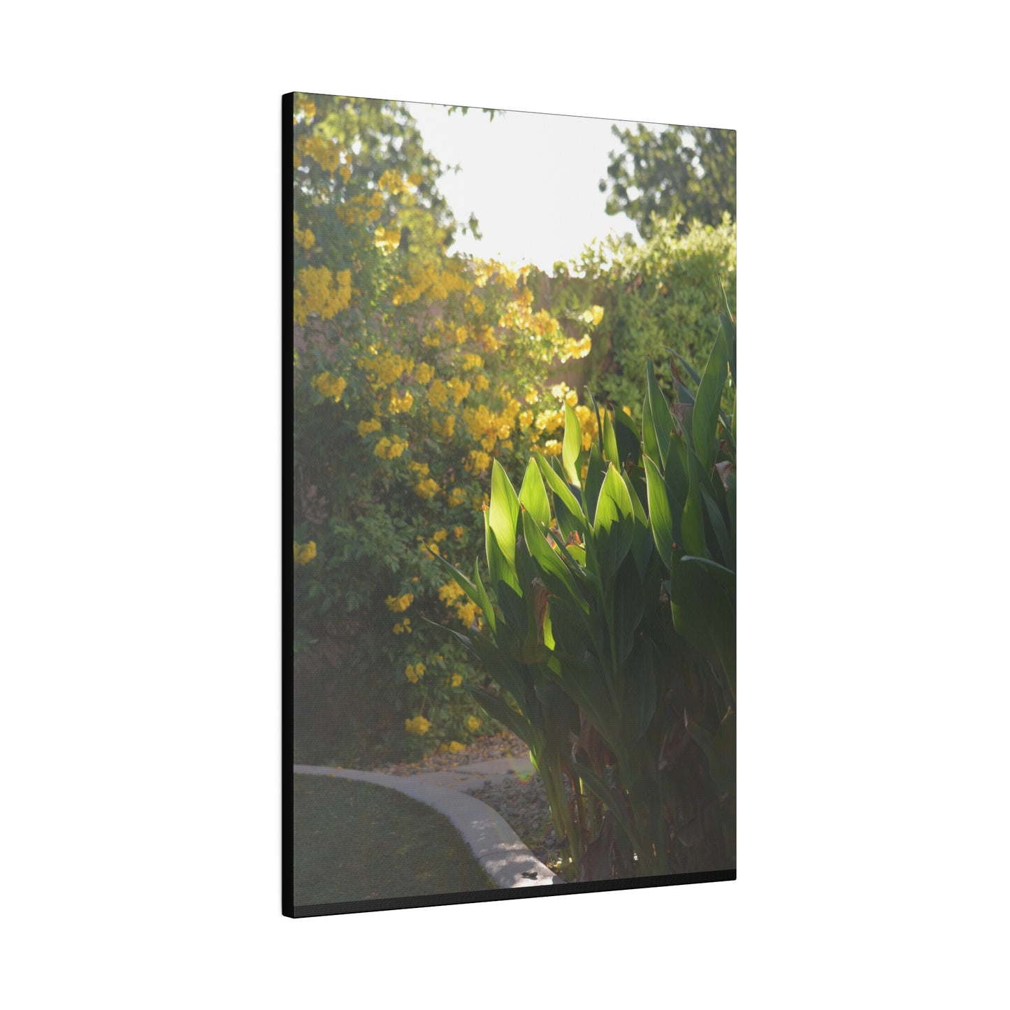 Parker Residence [Matte Canvas, Stretched, 0.75"]