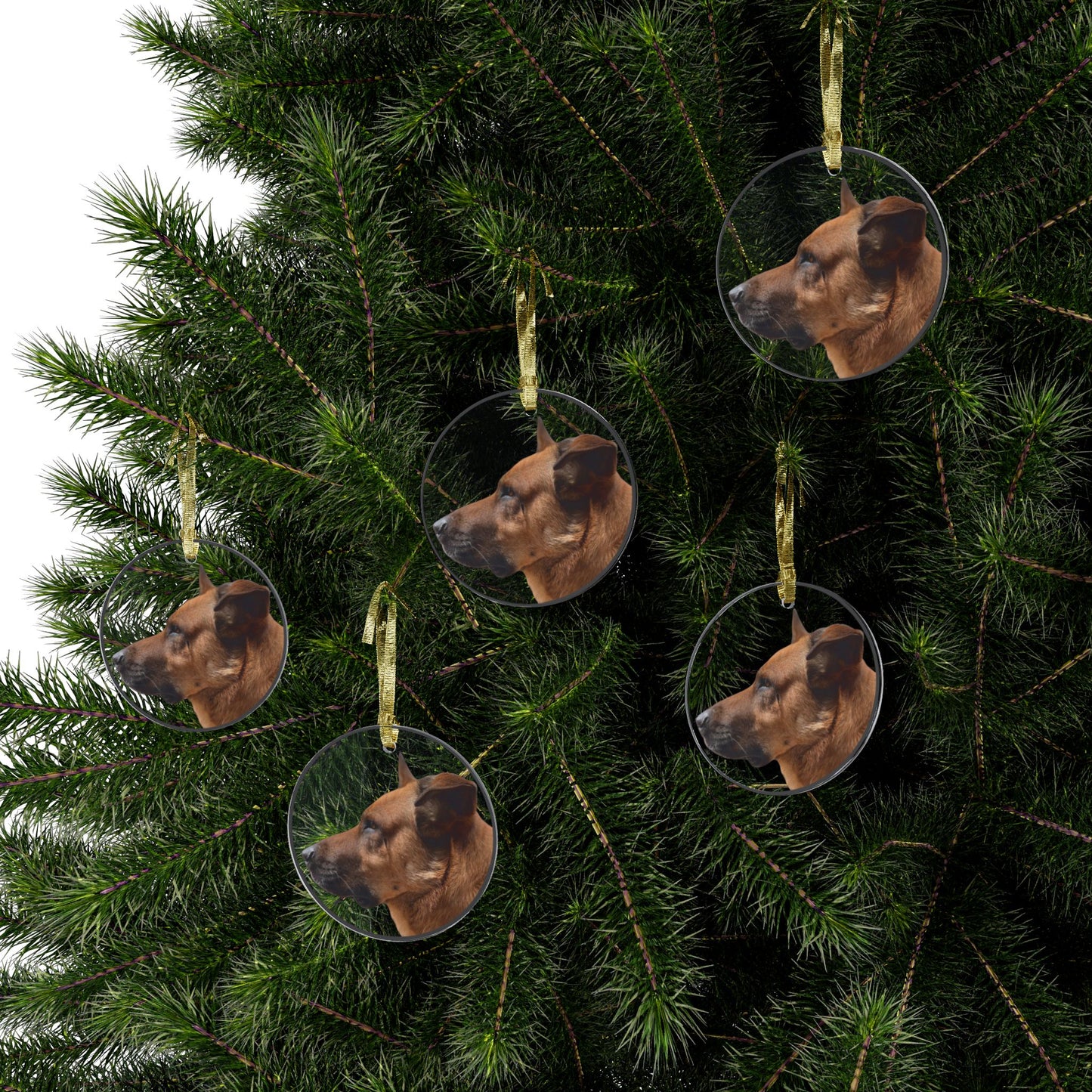 Sherlock [Acrylic Ornaments]