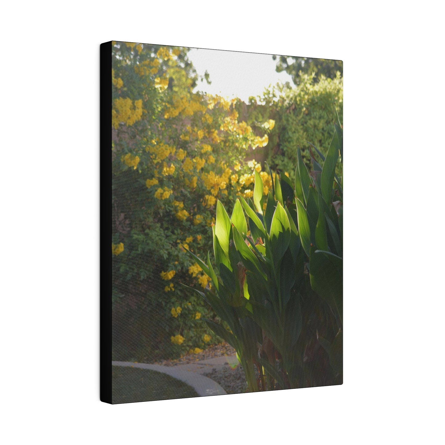 Parker Residence [Matte Canvas, Stretched, 0.75"]