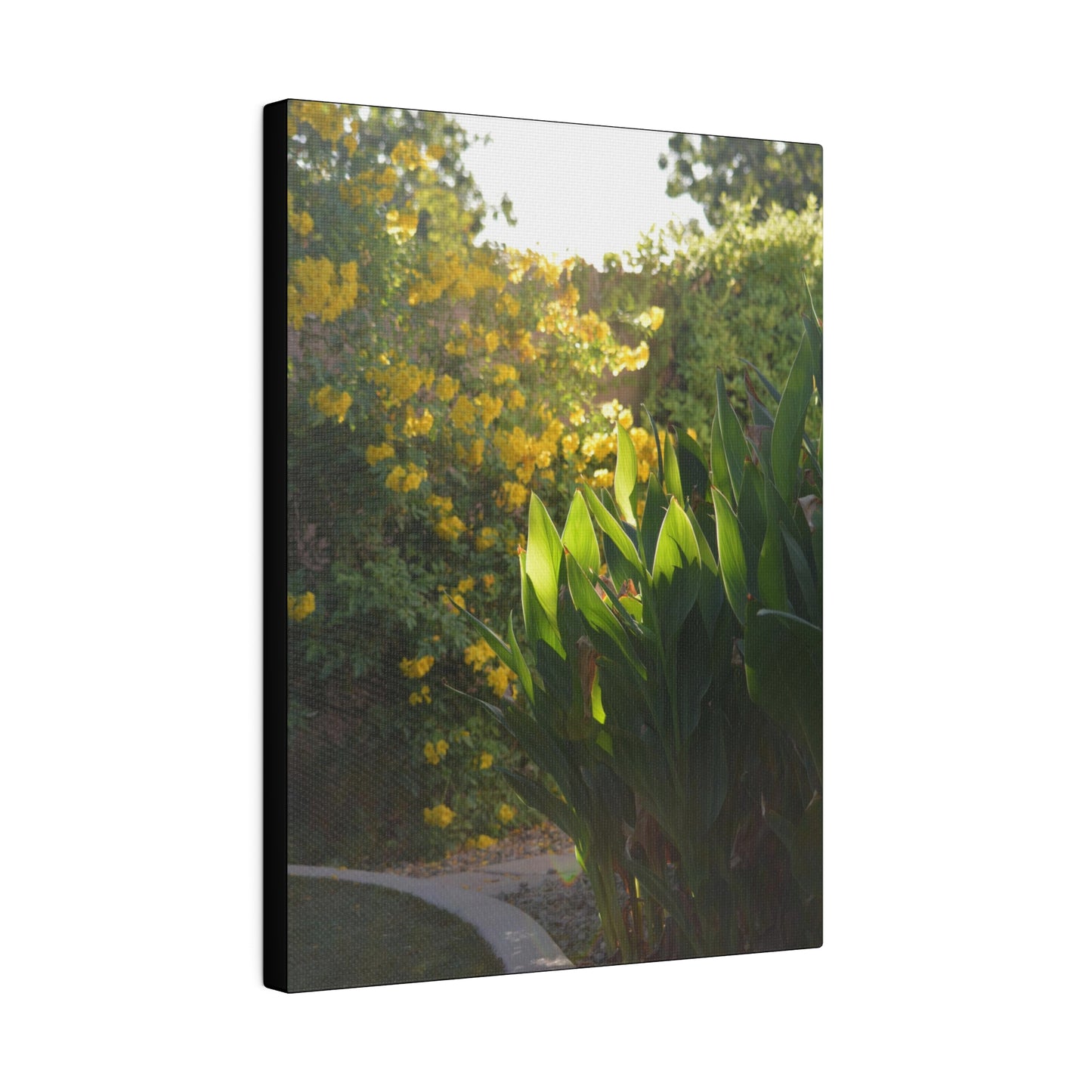 Parker Residence [Matte Canvas, Stretched, 0.75"]