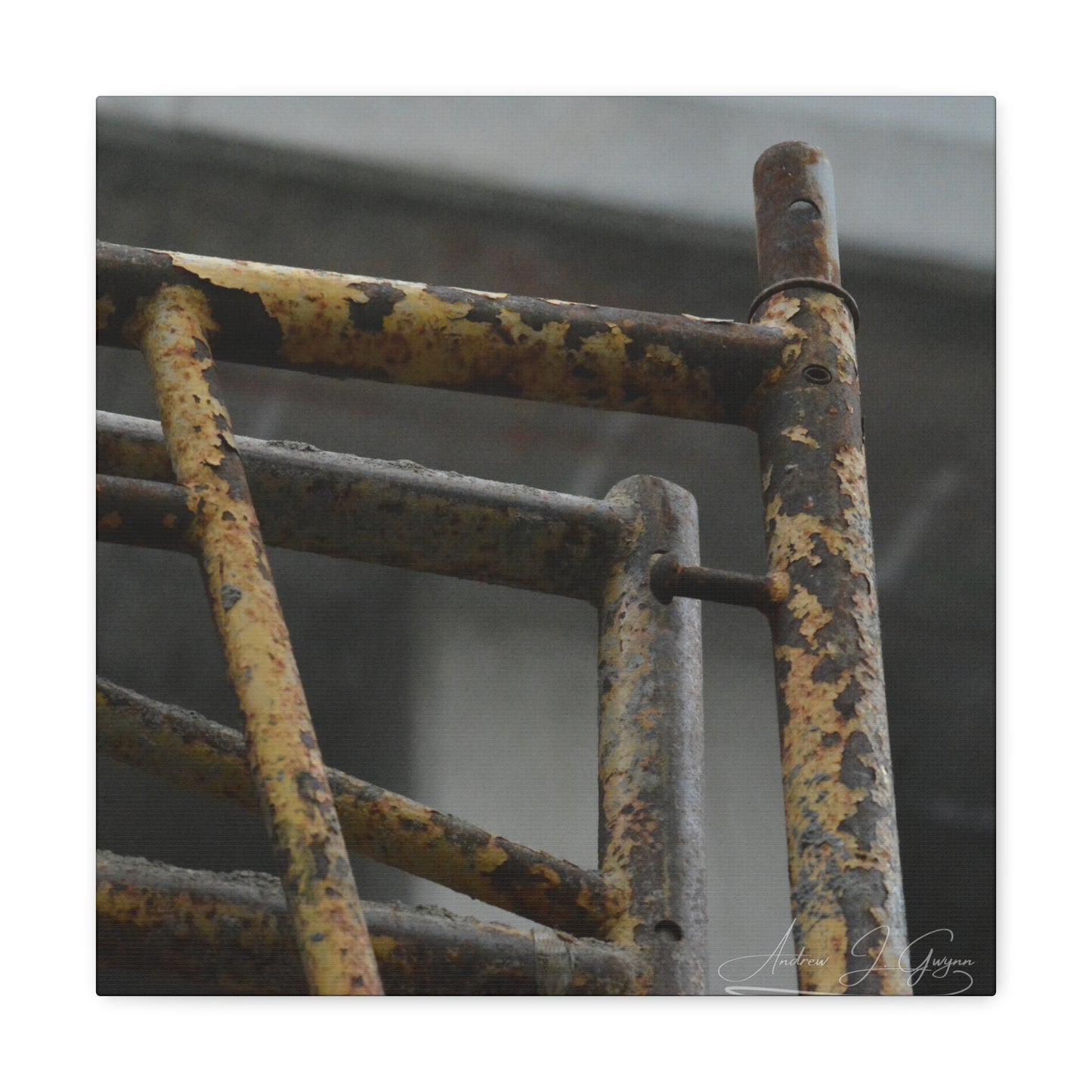 Trust Me [Canvas Gallery Wraps]