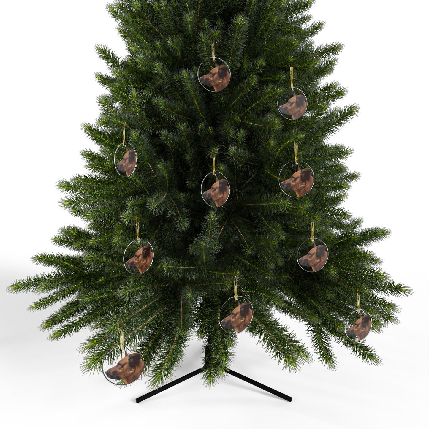 Sherlock [Acrylic Ornaments]