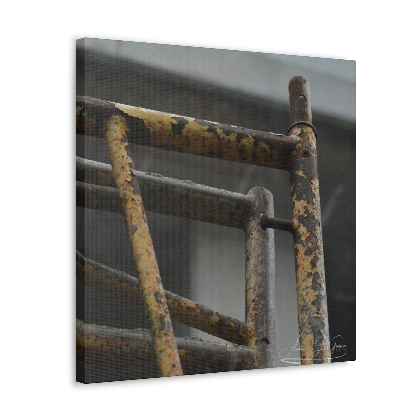 Trust Me [Canvas Gallery Wraps]