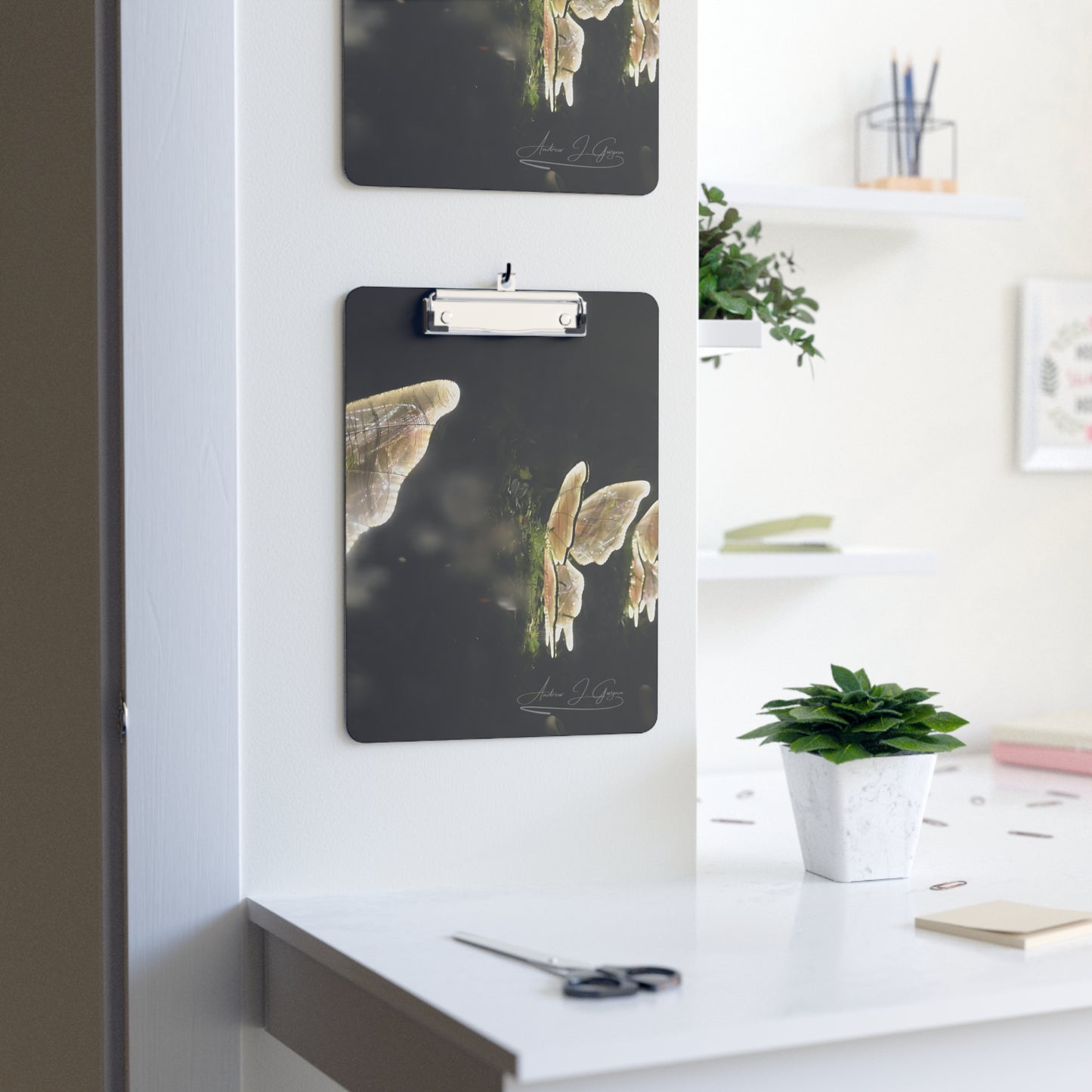 Nightwings [Clipboard]