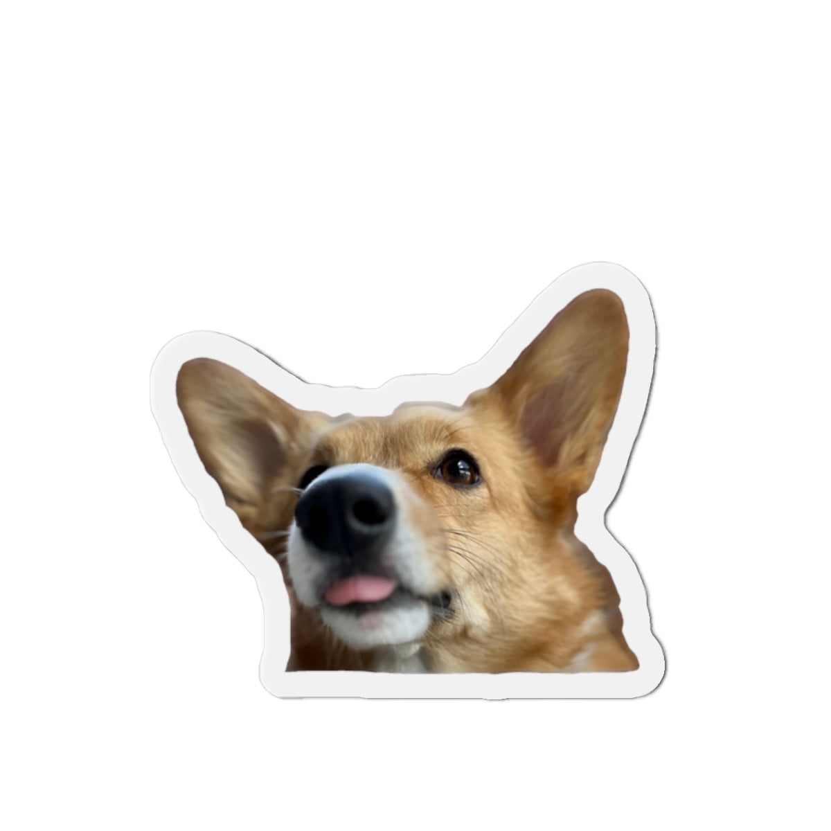 Waffle [Die-Cut Magnets]