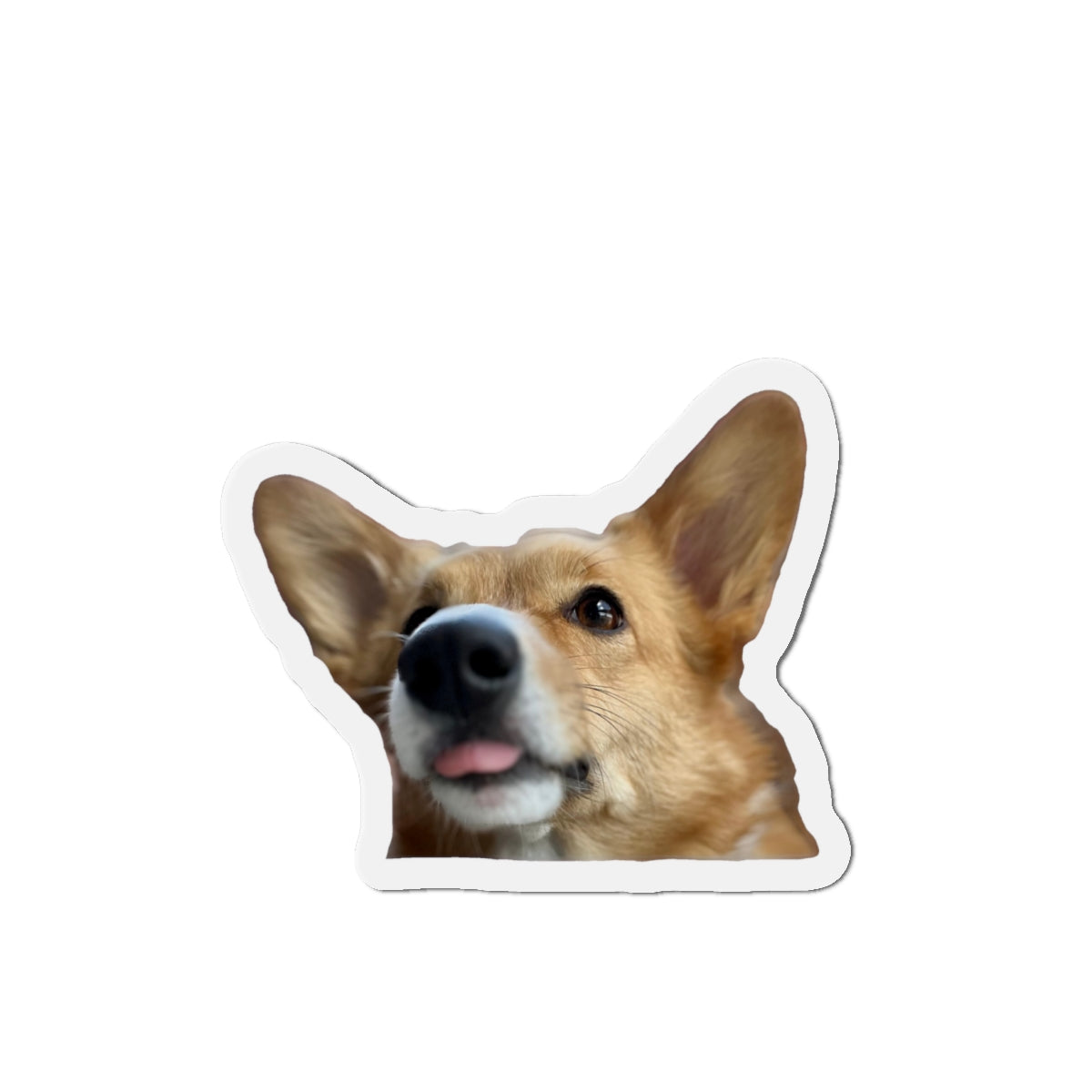 Waffle [Die-Cut Magnets]