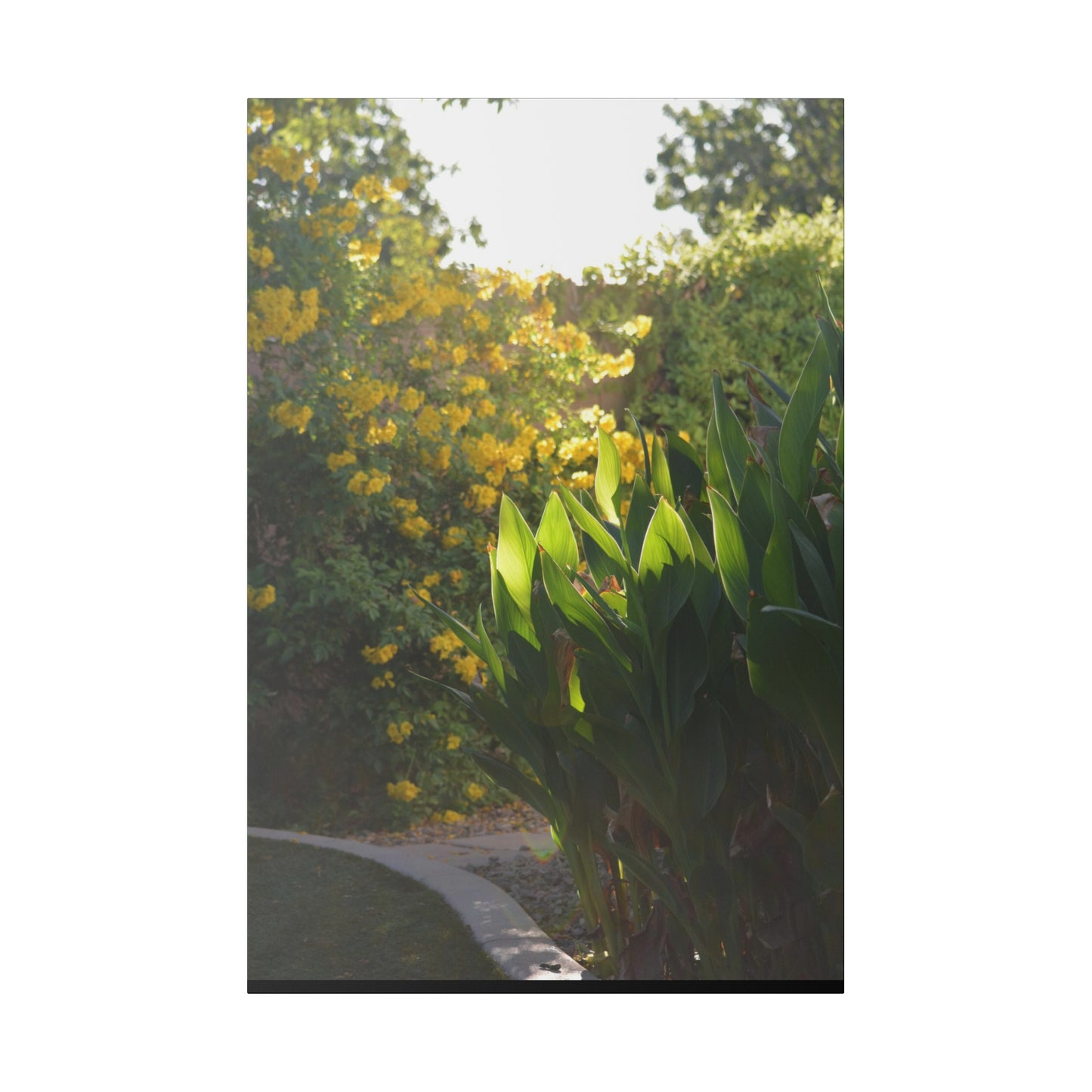 Parker Residence [Matte Canvas, Stretched, 0.75"]