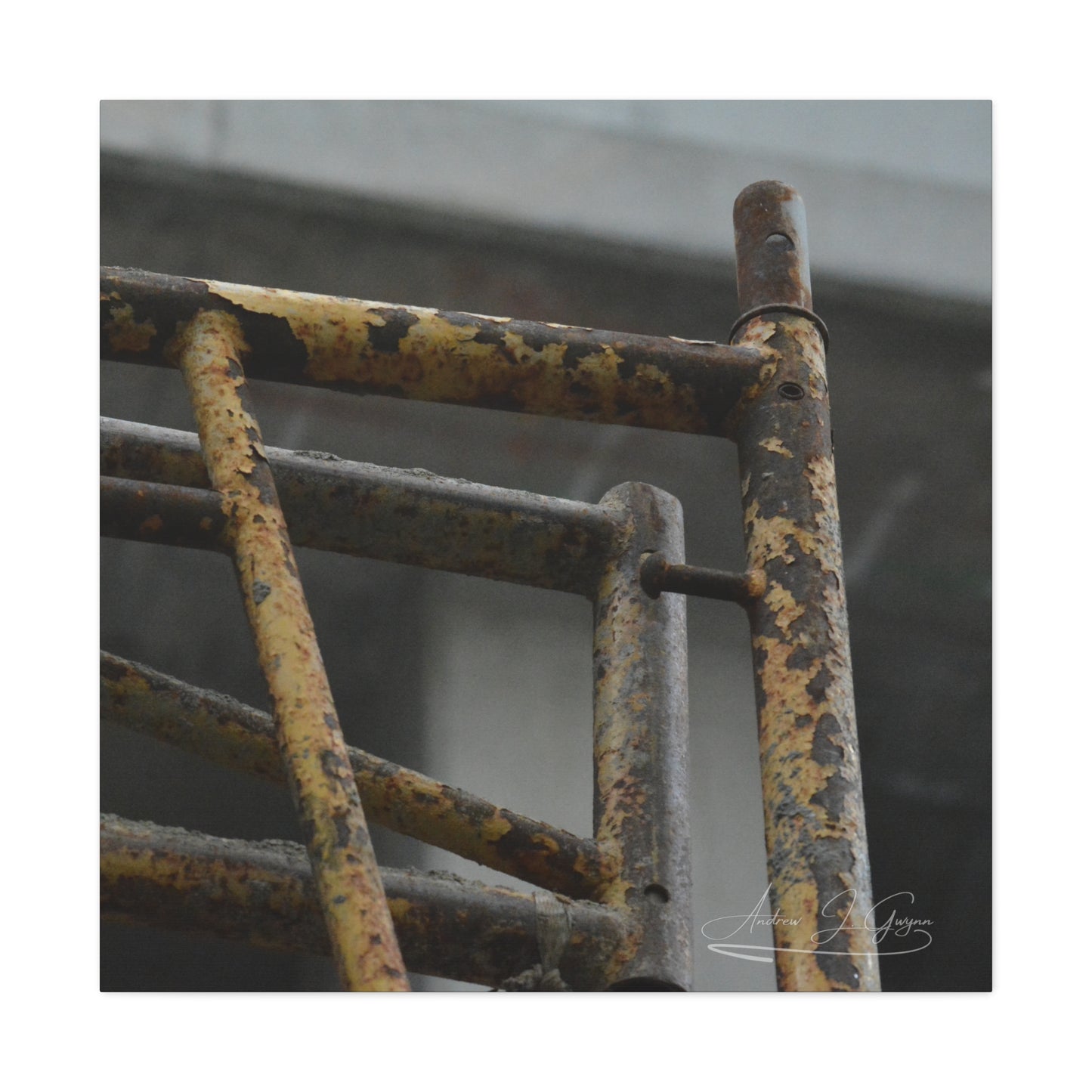 Trust Me [Canvas Gallery Wraps]