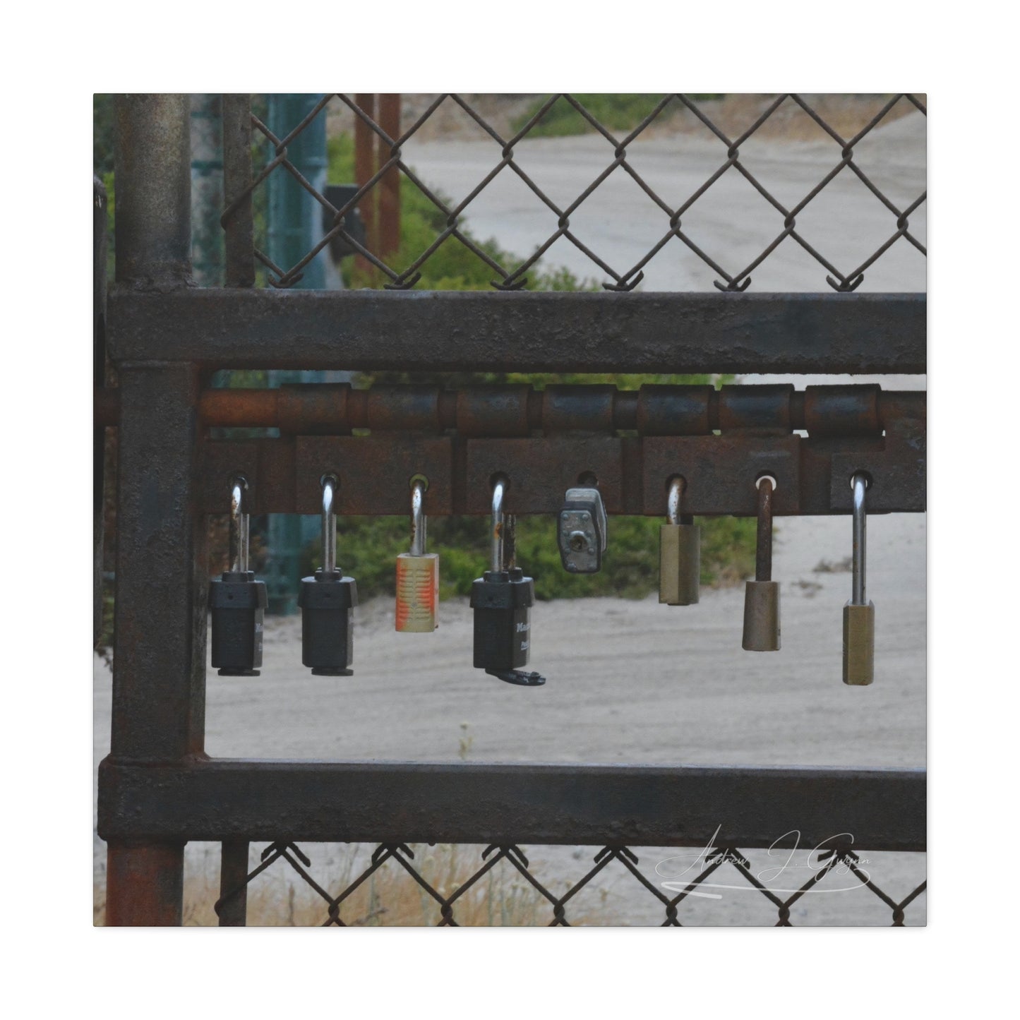 Locked (Sorta) [Canvas Gallery Wraps]