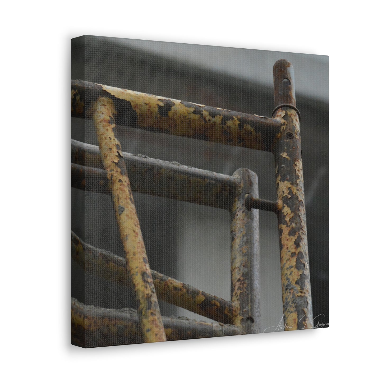 Trust Me [Canvas Gallery Wraps]