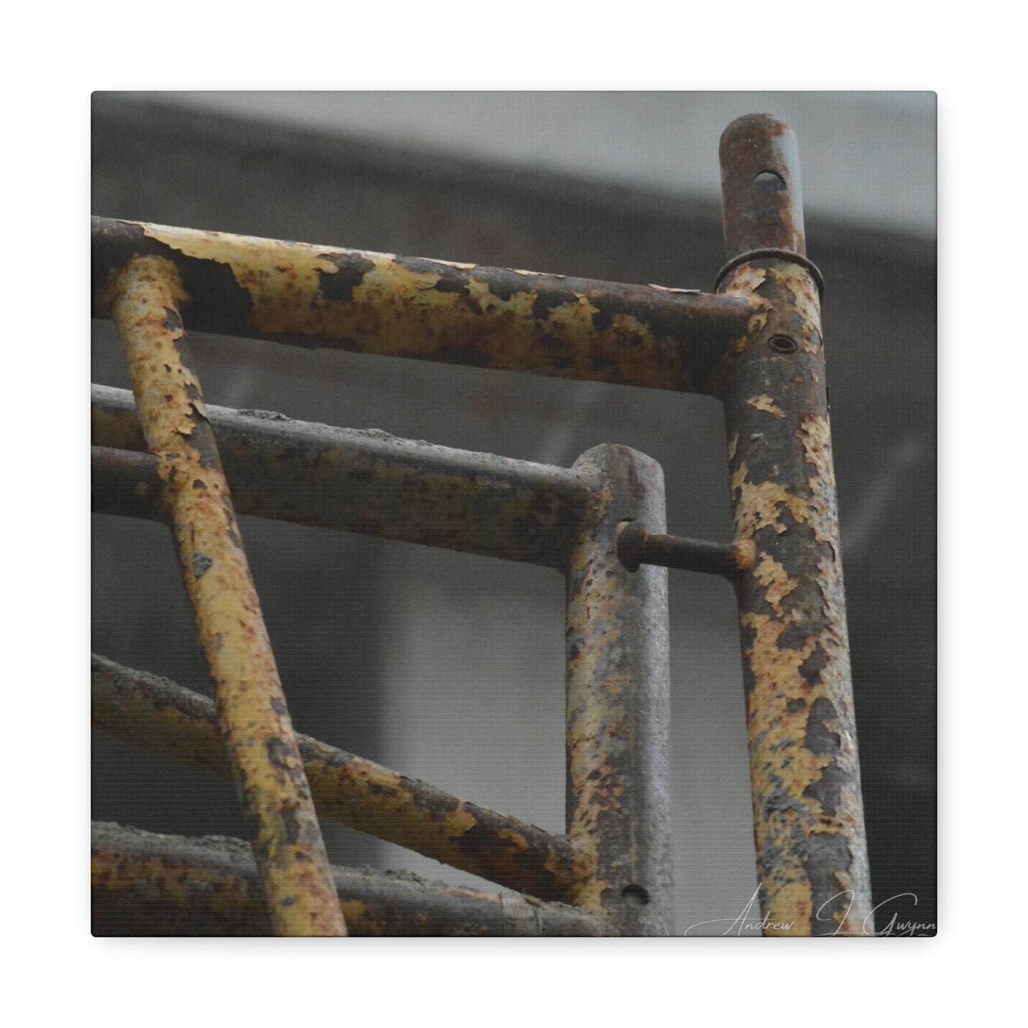 Trust Me [Canvas Gallery Wraps]