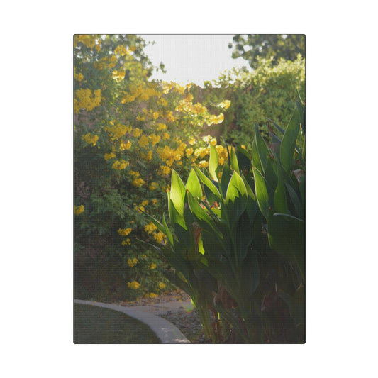 Parker Residence [Matte Canvas, Stretched, 0.75"]