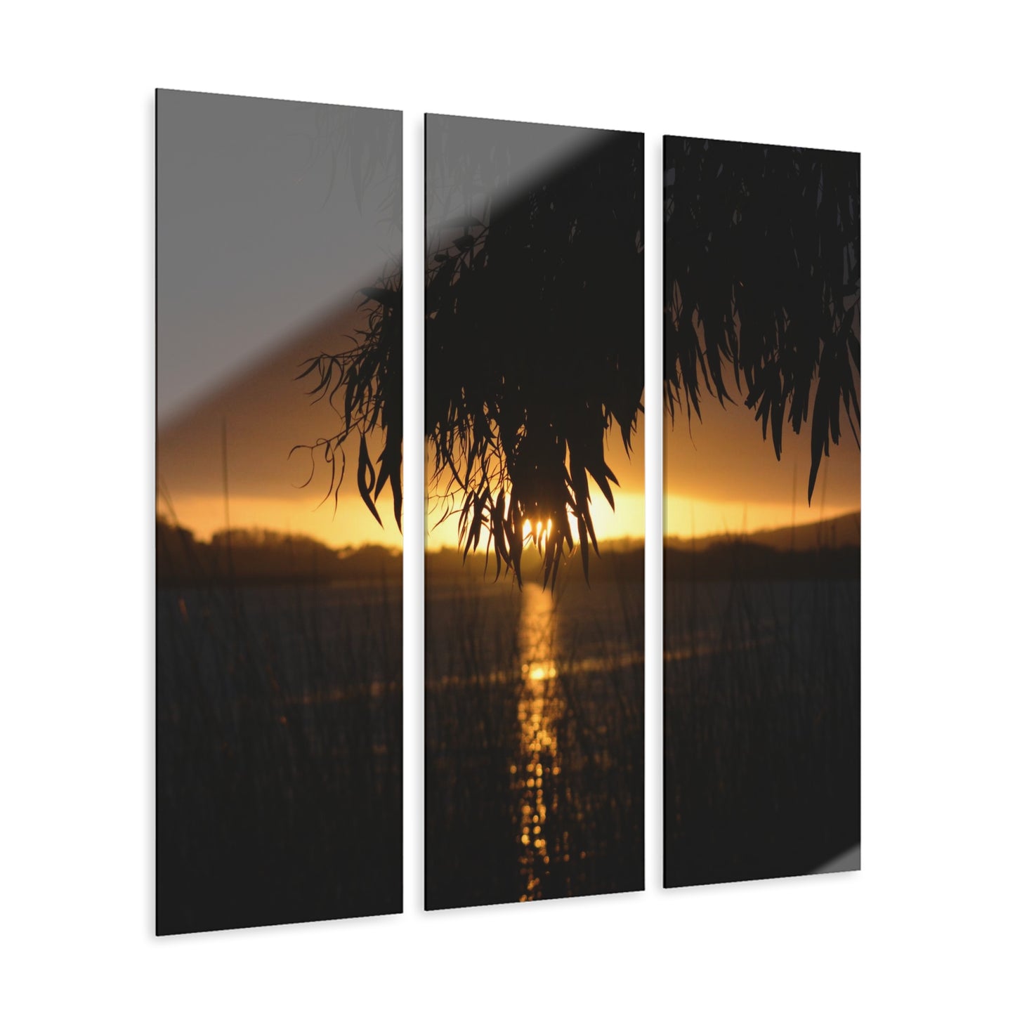 San Luis Obispo [Acrylic Prints Triptych]