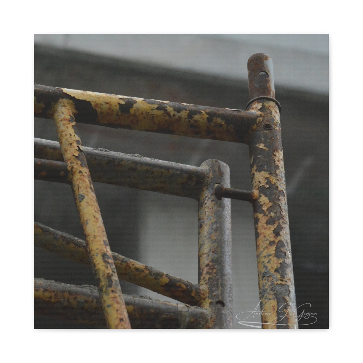 Trust Me [Canvas Gallery Wraps]