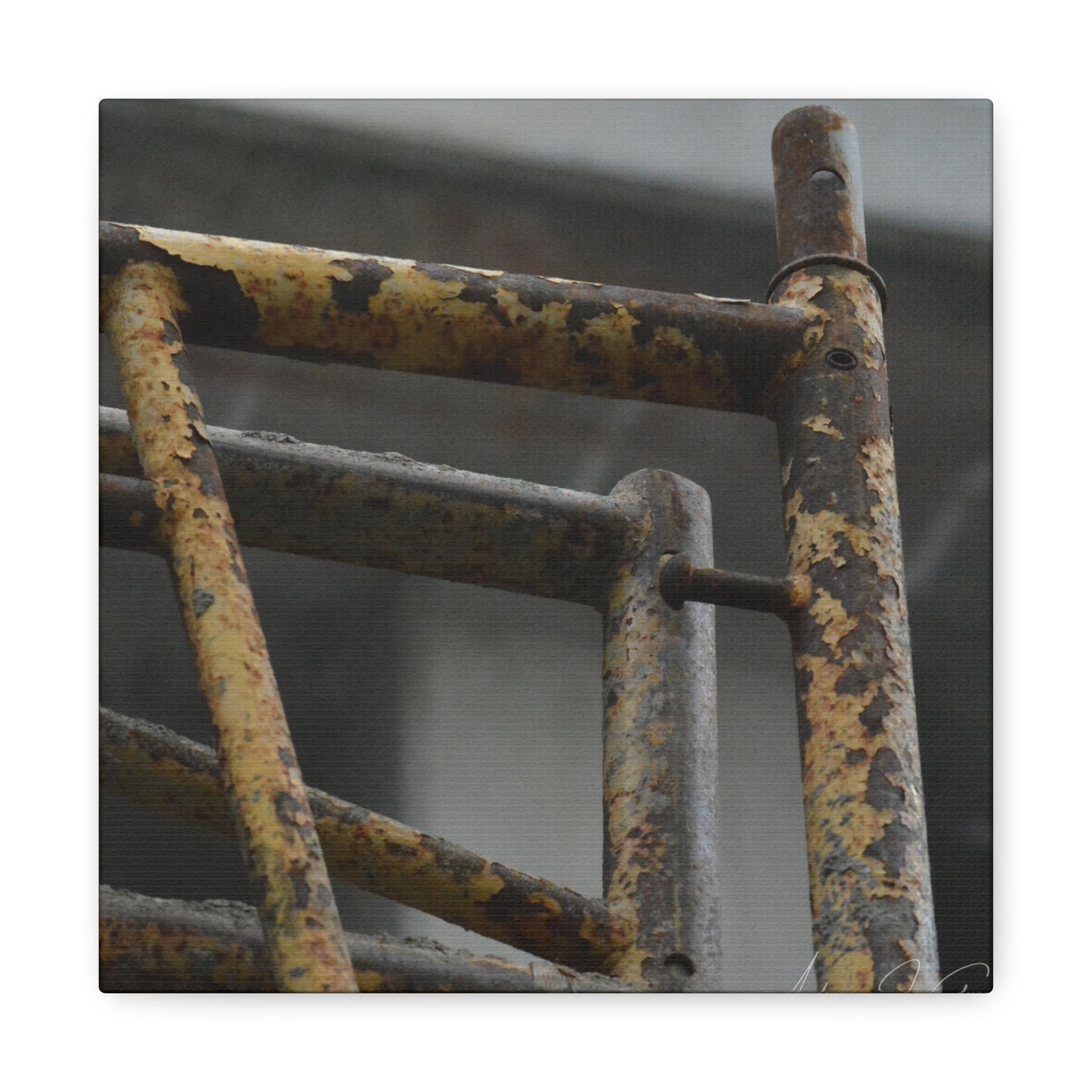 Trust Me [Canvas Gallery Wraps]