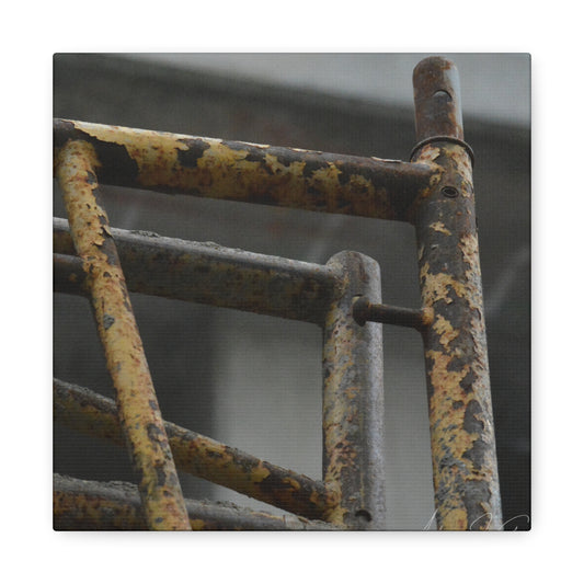 Trust Me [Canvas Gallery Wraps]