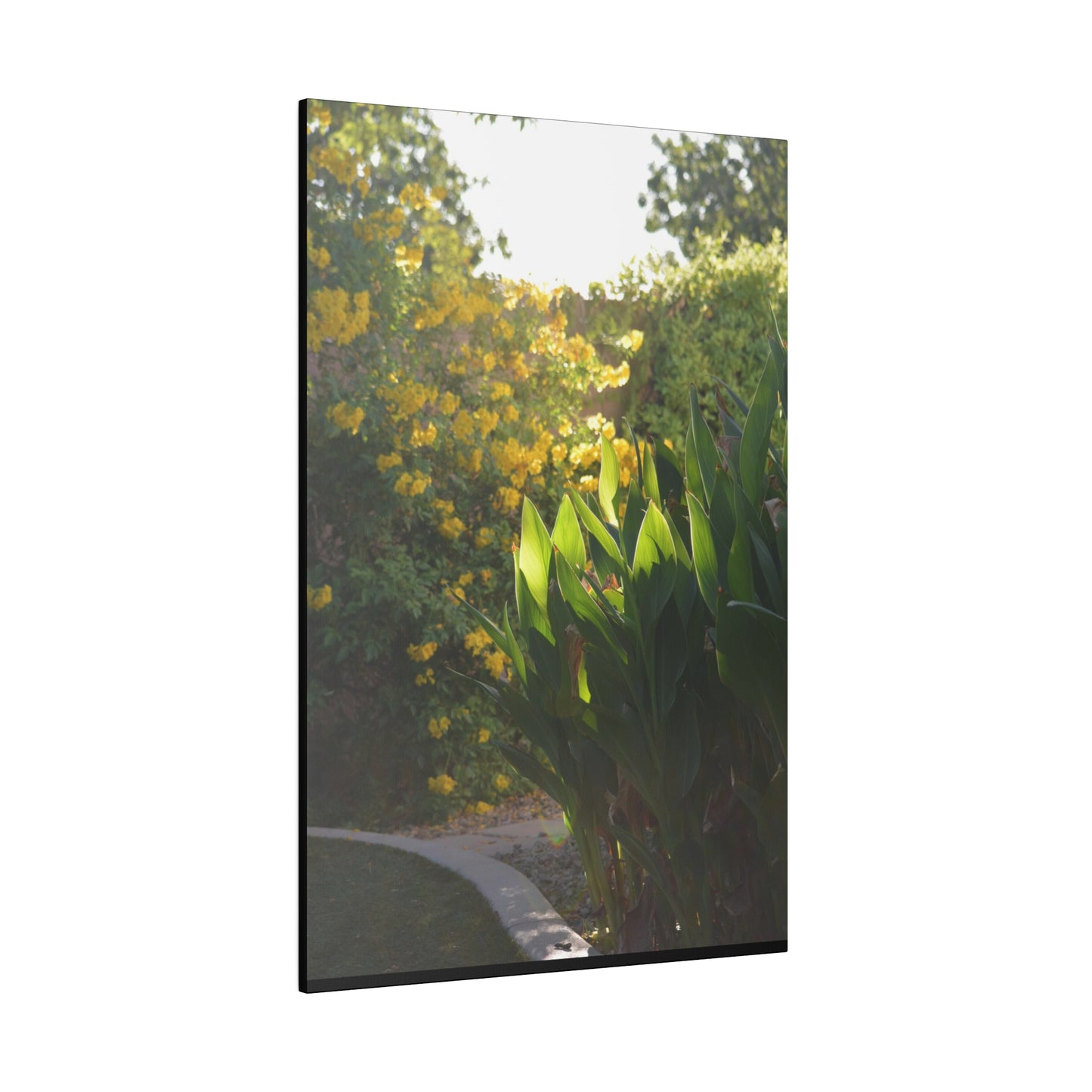 Parker Residence [Matte Canvas, Stretched, 0.75"]