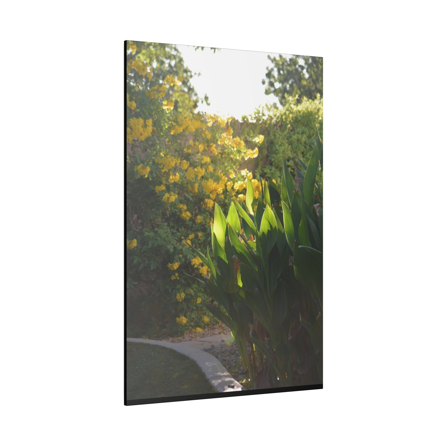 Parker Residence [Matte Canvas, Stretched, 0.75"]