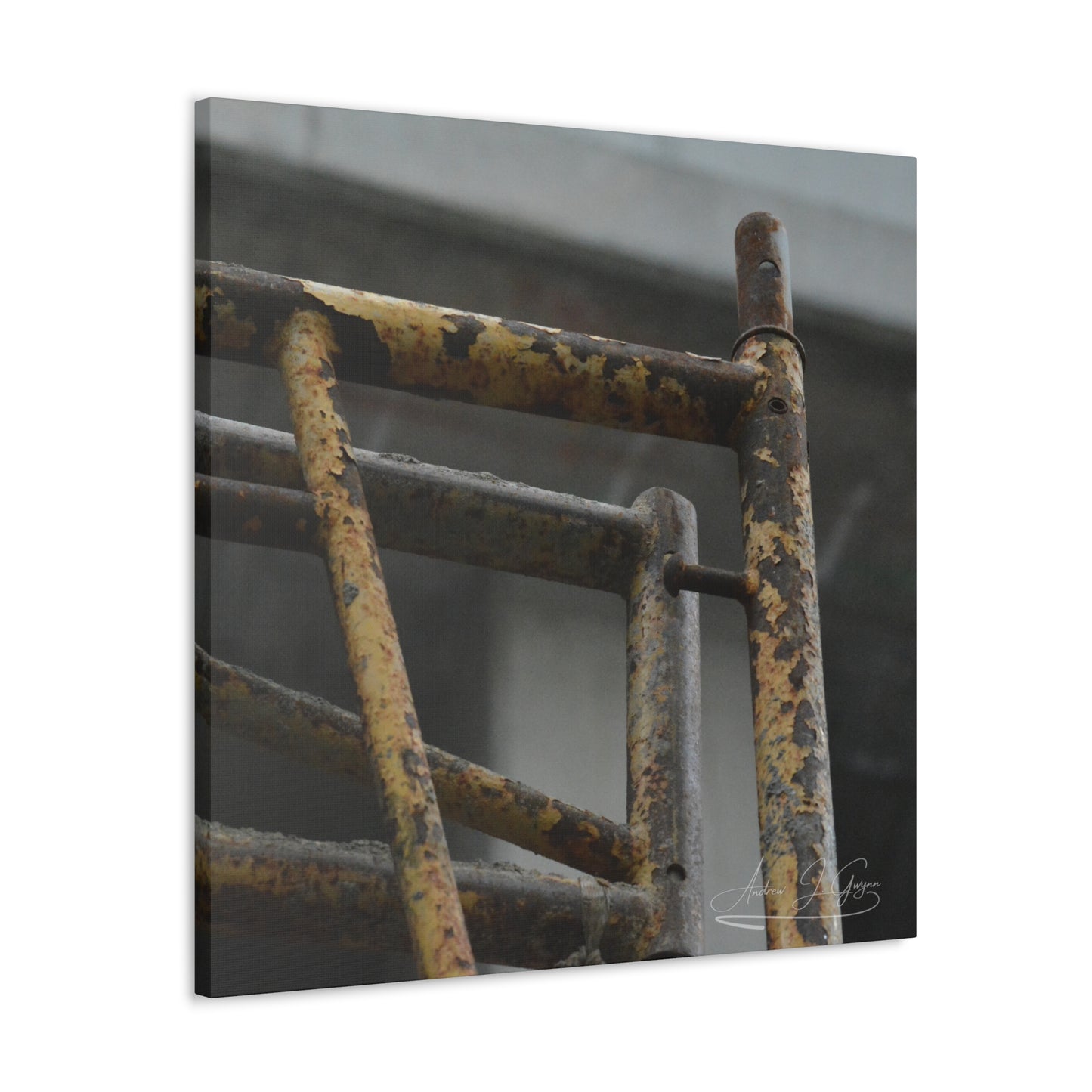 Trust Me [Canvas Gallery Wraps]