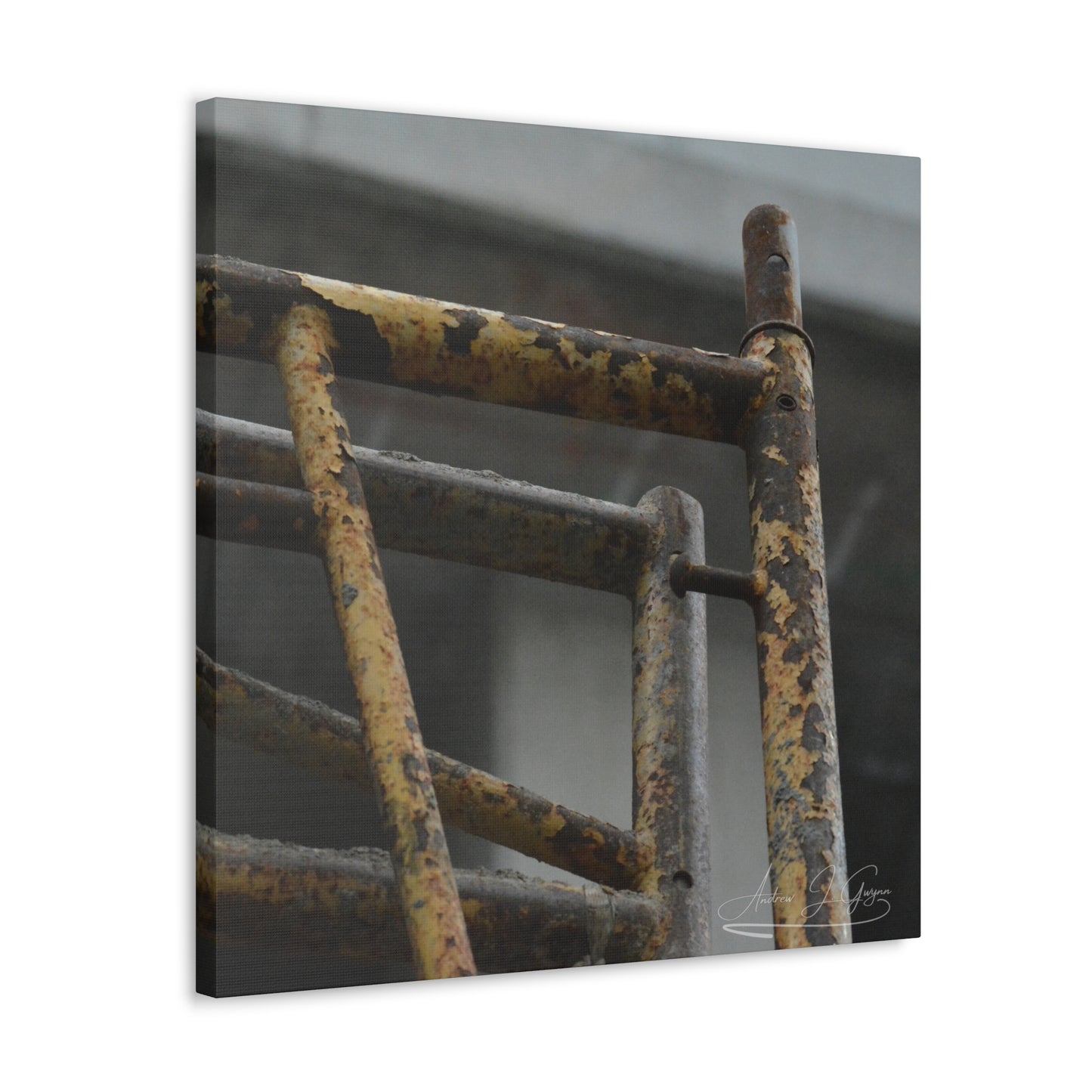 Trust Me [Canvas Gallery Wraps]