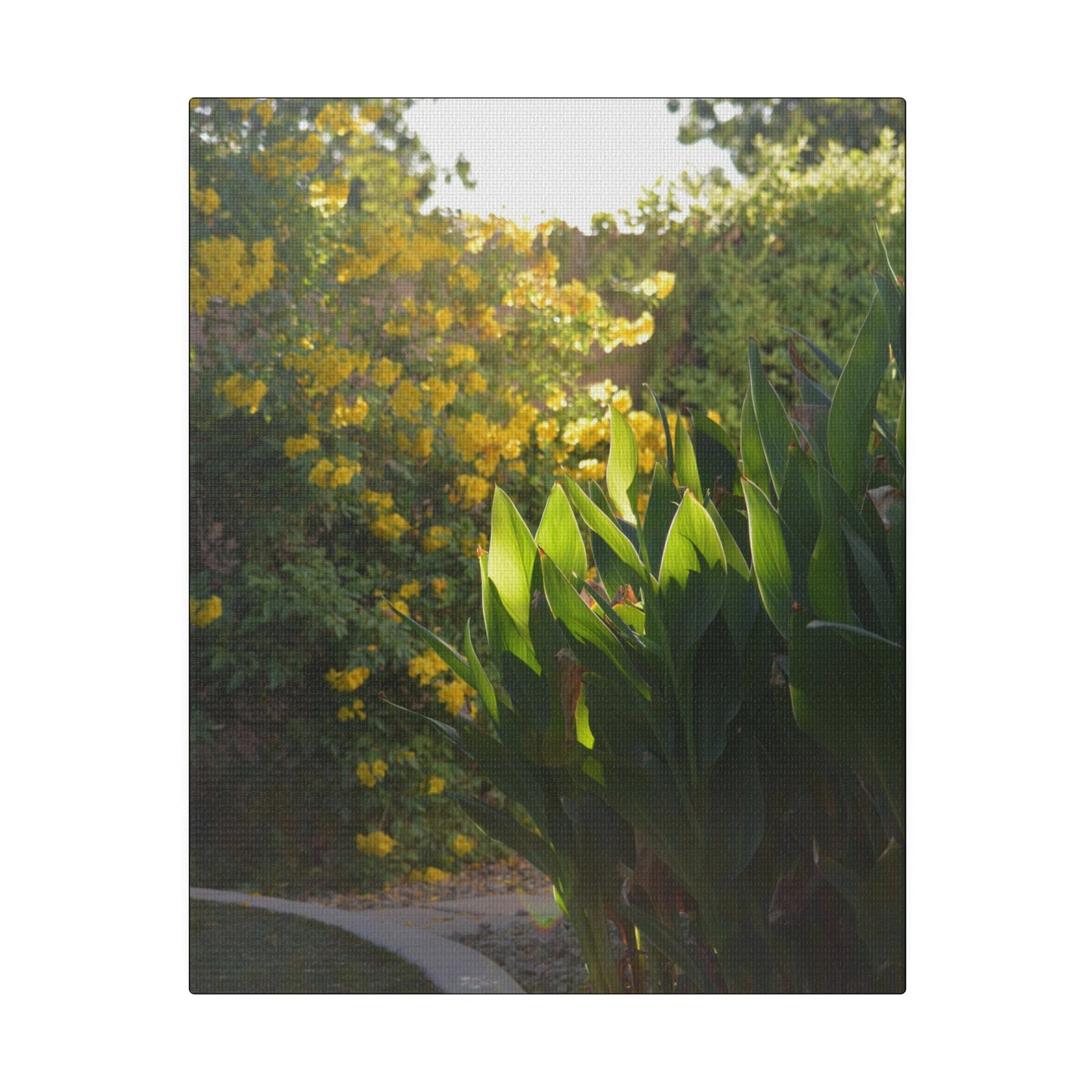 Parker Residence [Matte Canvas, Stretched, 0.75"]