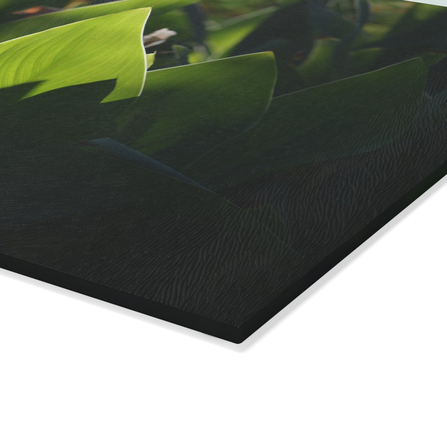 Parker Backyard [Glass Cutting Board]