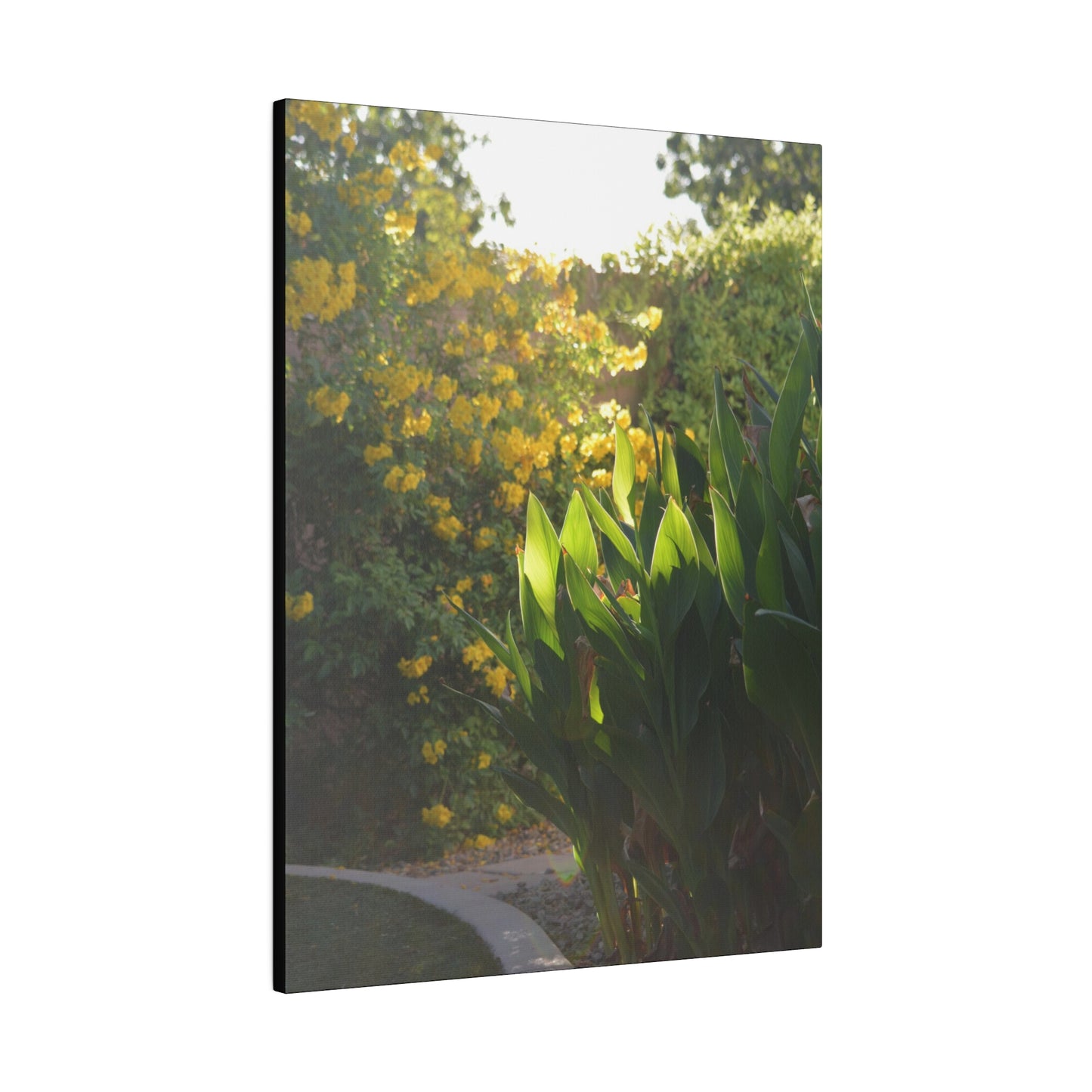 Parker Residence [Matte Canvas, Stretched, 0.75"]